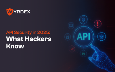 API Security Testing in 2025: What Hackers Already Know About Your Endpoints